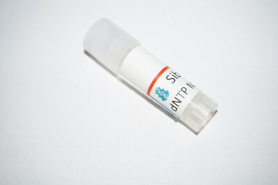 100mM dNTP Mix (1ml, 25mM per dATP, dTTP, dGTP and dCTP) for PCR, long PCR, qPCR-image
