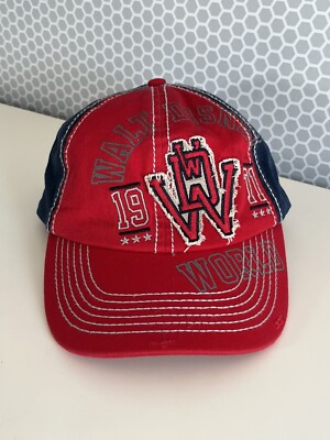 Disney Parks Cap Hat Walt Disney World Est 1971 Distressed Strapback Cotton-image