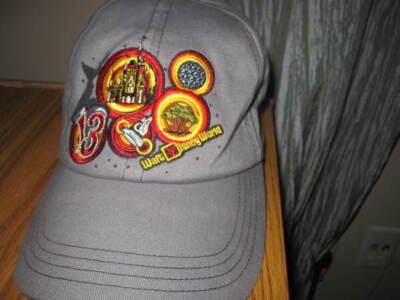 Walt Disney World Parks Authentic Original Gray Cap EUC-image