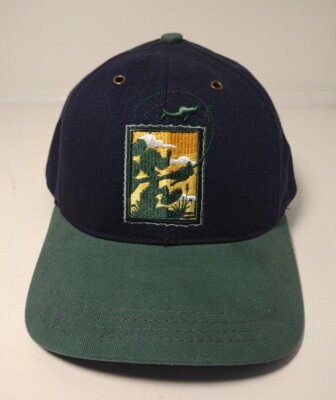 Vintage Walt Disney World Disney's DIXIE LANDINGS RESORT Snapback Hat USA NWT-image