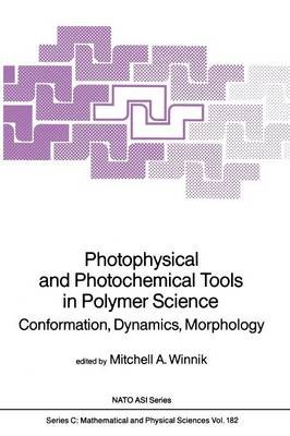 Photophysical and Photochemical Tools in Polymer Science - 9789401086011-image
