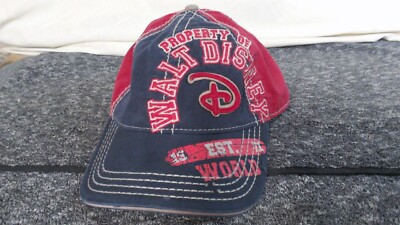 Rustic Blue 71 Walt Disney World Land Embroidered Baseball Hat Cap Strap Adult-image