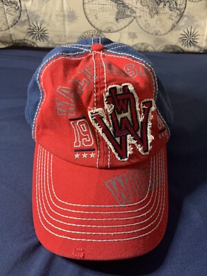 WDW hat ball cap red blue EUC Adj Strap Walt Disney world-image