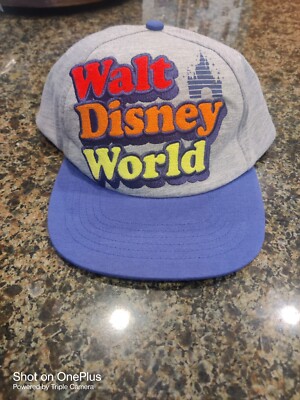 Disneyland Resort and Walt Disney World Hat Gray Adult Adjustable-image