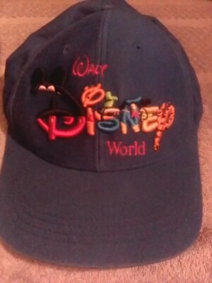 Walt Disney World Blue Hat-image