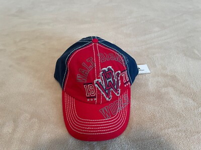 Walt Disney World Hat 1971 Anniversary-image