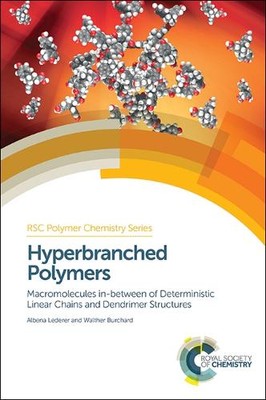 Albena Lederer Walther Burchard Hyperbranched Polymers (Hardback) (UK IMPORT)-image