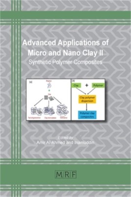 Advanced Applications of Micro and Nano Clay II: Synthetic Polymer Composites (P-image