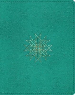 ESV Single Column Journaling Bible (Leather Bound) (UK IMPORT)-image