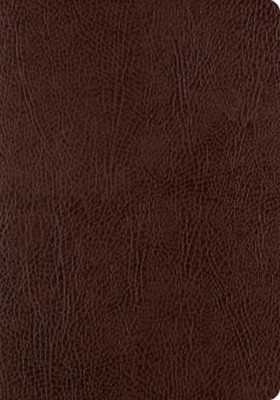 ESV Single Column Journaling Bible, Large Print (Leather Bound)-image
