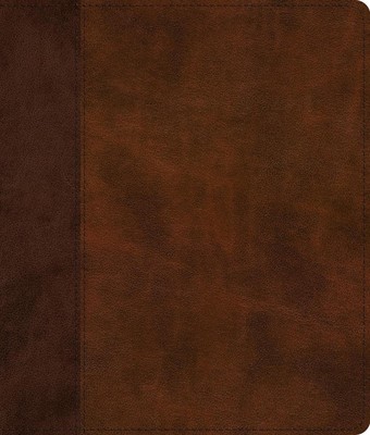 ESV Journaling Bible (English) Leather Book-image