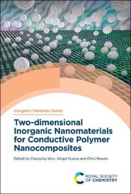 Xingyi Huang Two-dimensional Inorganic Nanomaterials for Conductive P (Hardback)-image