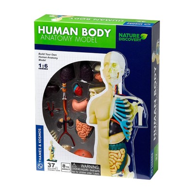Thames & Kosmos - Nature Discovery: Human Body Model - 3D Anatomy Kit - 37 Parts-image