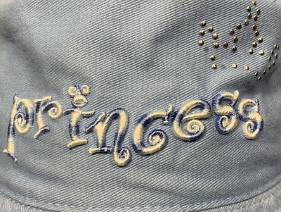 Walt Disney World “Princess” Embroider Bucket Hat Blue Kids -image