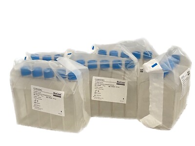 (25) CORNING BioCoat Collagen I 175cm2 Rectangular Cell Culture Flasks 356487-image
