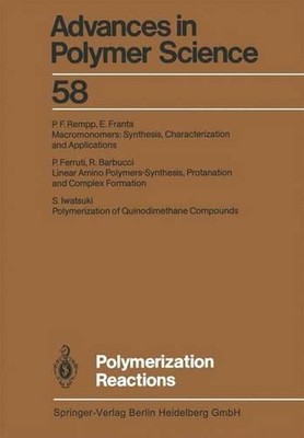 Polymerization Reactions by R. Barbucci (English) Paperback Book-image