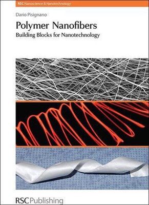 Polymer Nanofibers: Building Blocks for Nanotechnology by Dario Pisignano (Engli-image