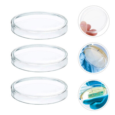 10 Pcs Petri Dish Cell Culture Dishes Laboratory Supplies Clear Science-image