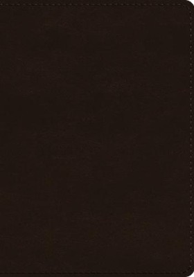 ESV Single Column Journaling Bible, Large Print (Leather Bound)-image